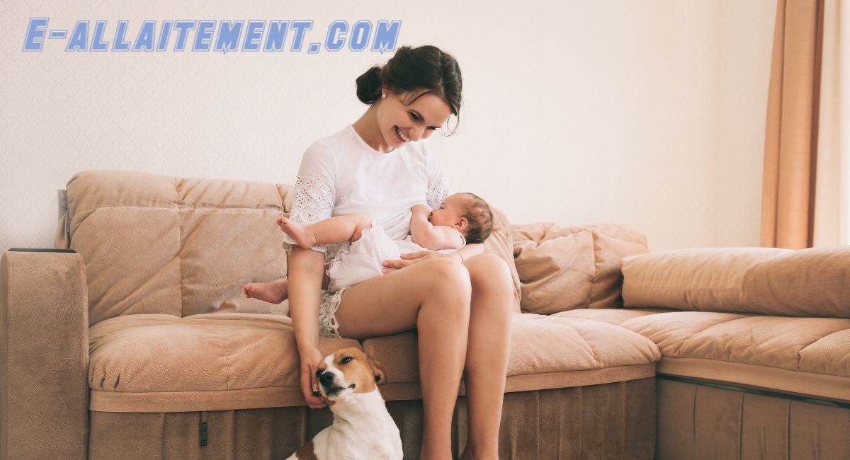 e-allaitement.blog-lognes.com